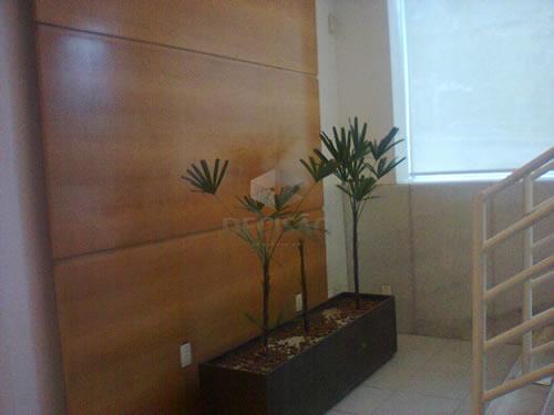 Lote à venda no Floresta: 