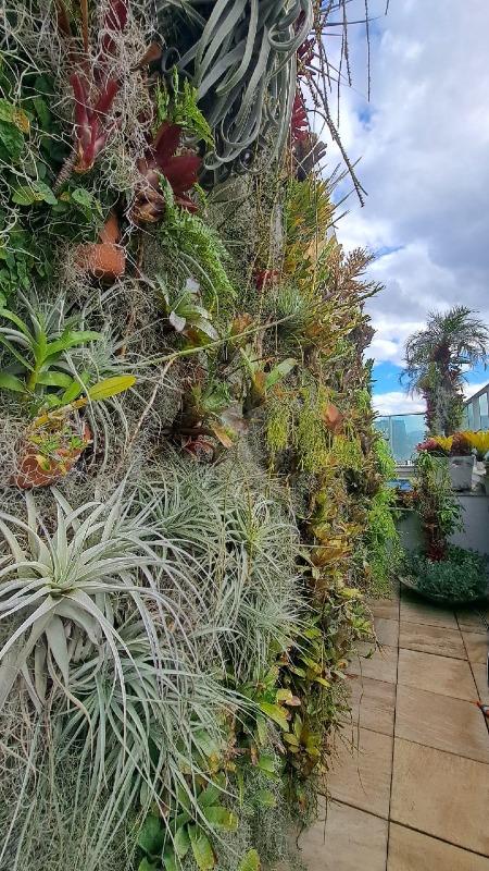 Cobertura à venda no Santo Agostinho: 