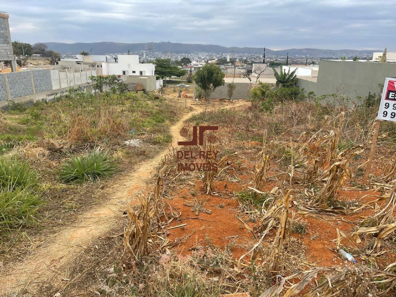 Lote à venda no Parque das Nogueiras: 