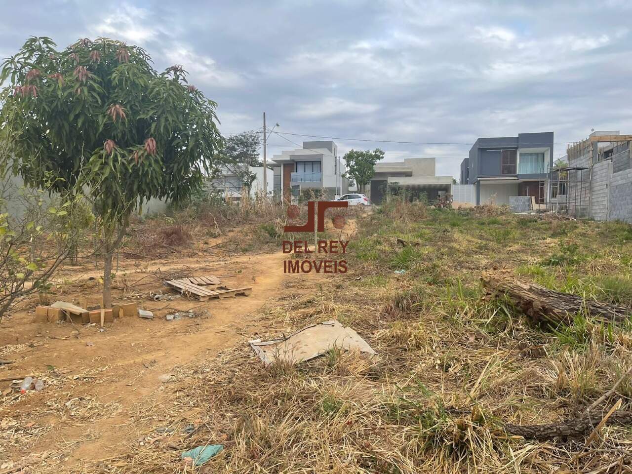 Lote à venda no Parque das Nogueiras: 