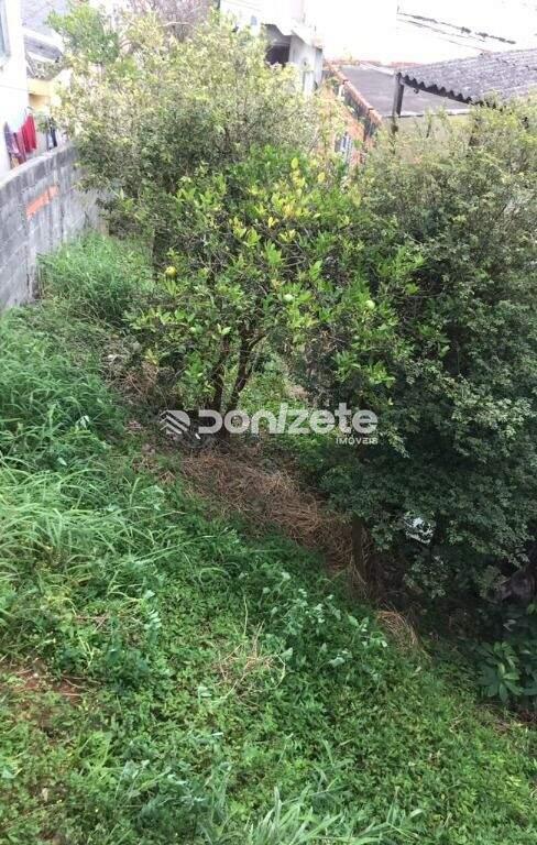 Terreno à venda no Parque João Ramalho: 