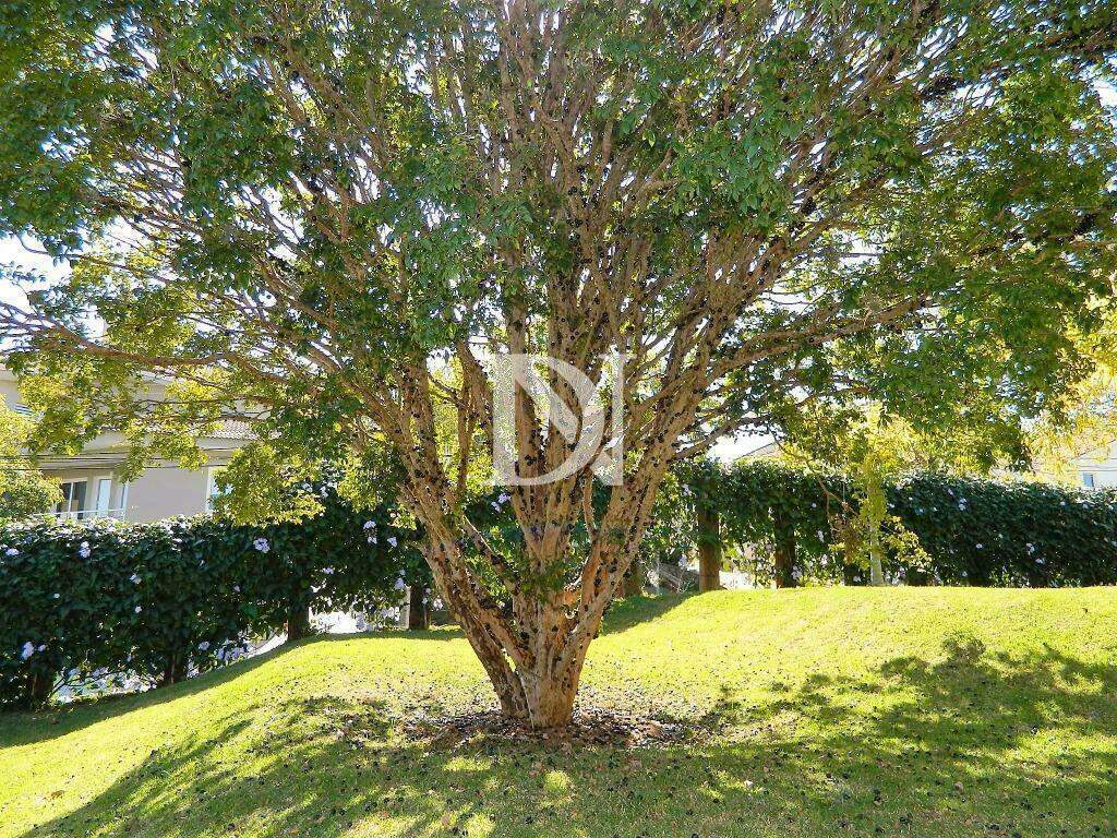 Casa em condomínio à venda no Jardim Theodora: 