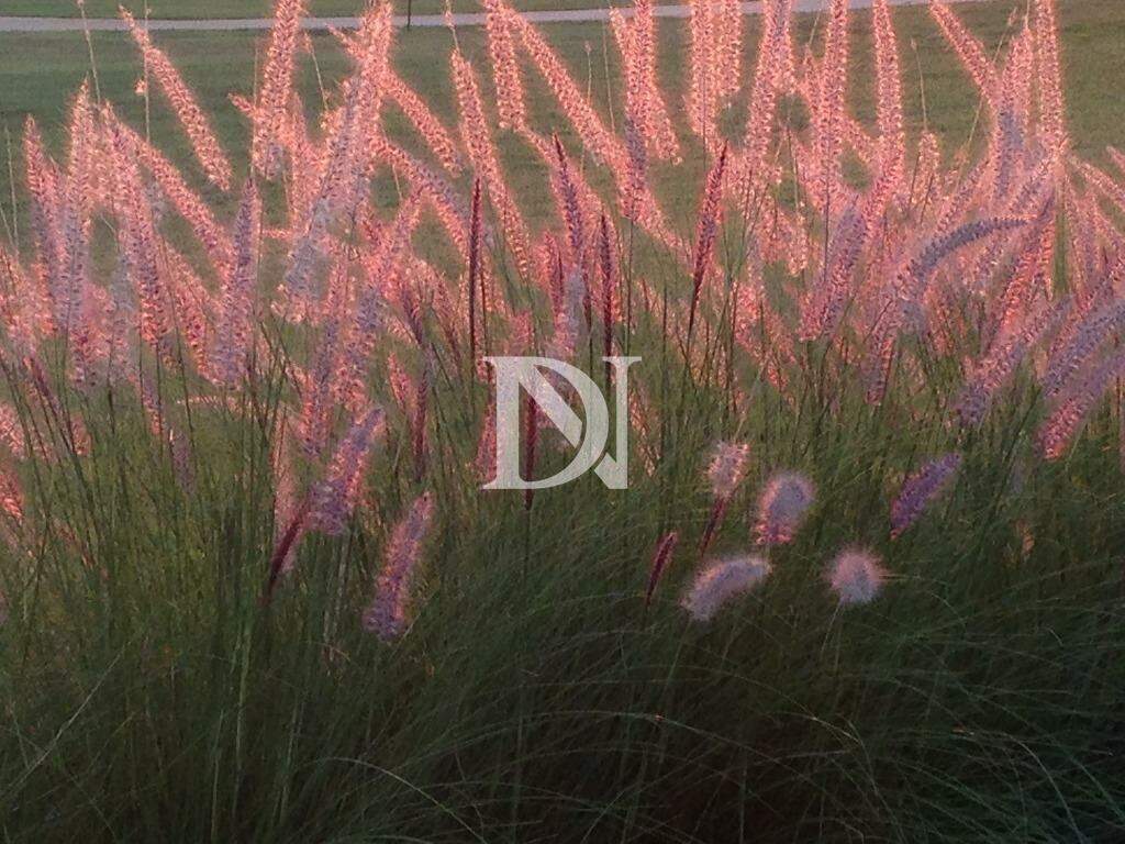 Casa em condomínio à venda no Condomínio Fazenda Vila Real de Itu: 