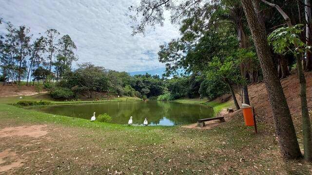 Terreno em condomínio à venda no Condomínio Village Castelo: 