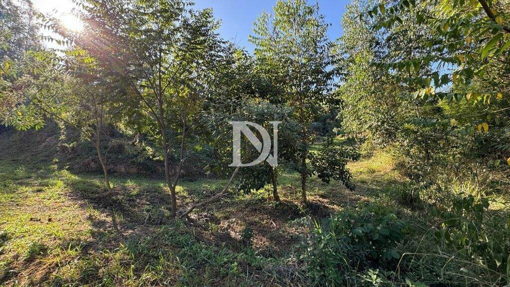 Terreno em condomínio à venda no Chácaras Monte Verde: 