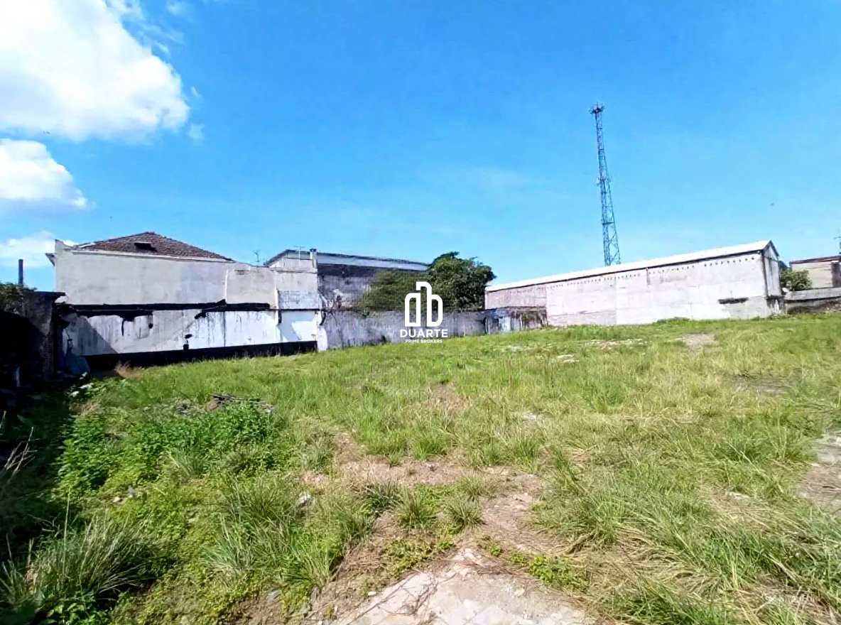 Terreno para aluguel no VILA MATHIAS: 