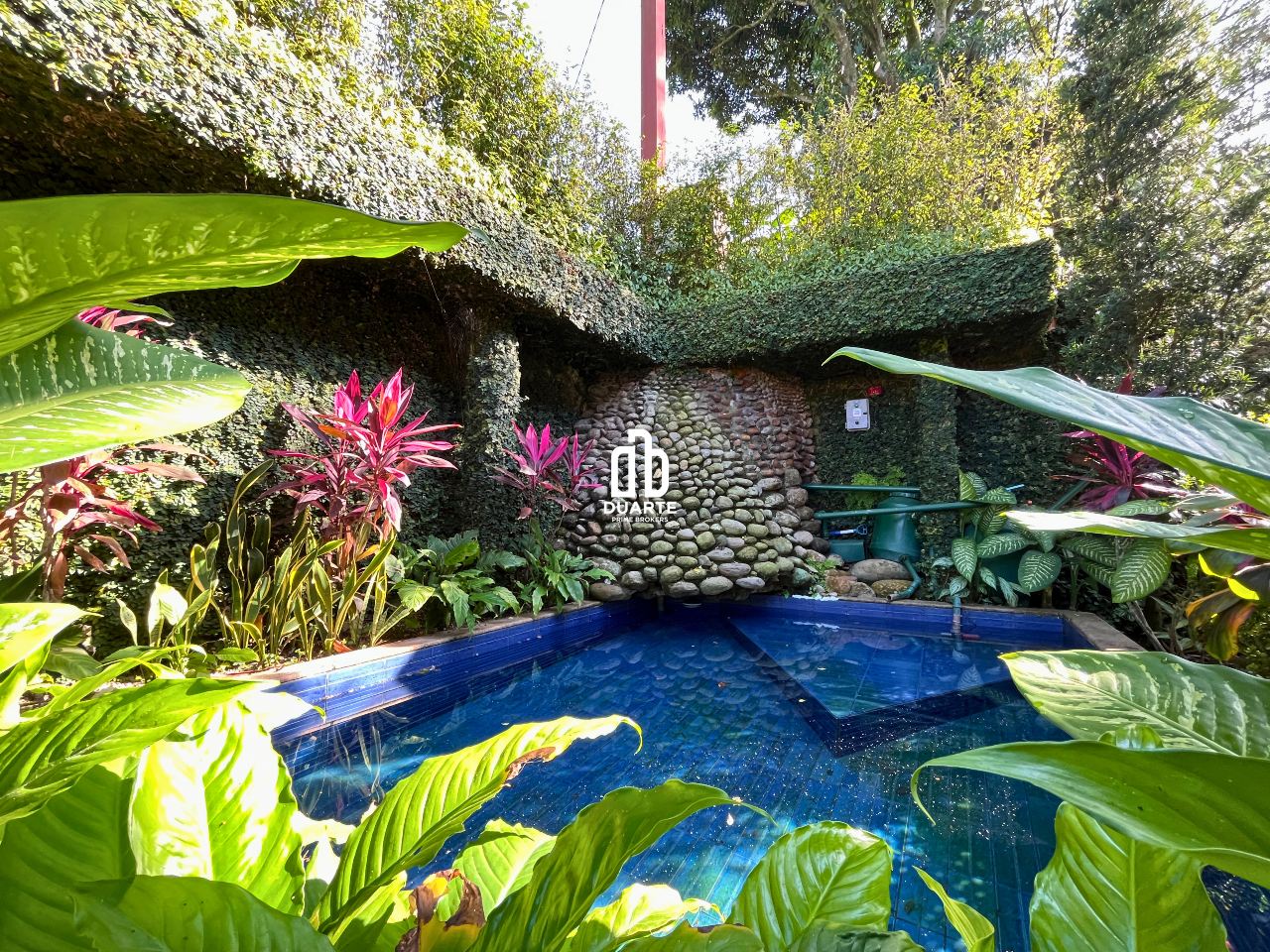 Casa à venda no MORRO SANTA TEREZINHA: 