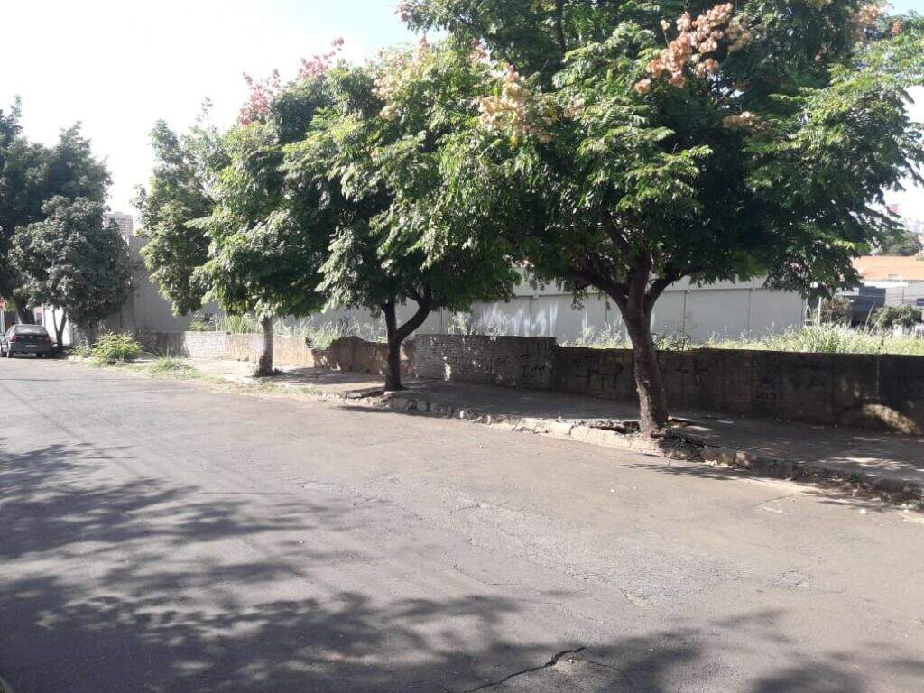 Área à venda no Higienópolis: 