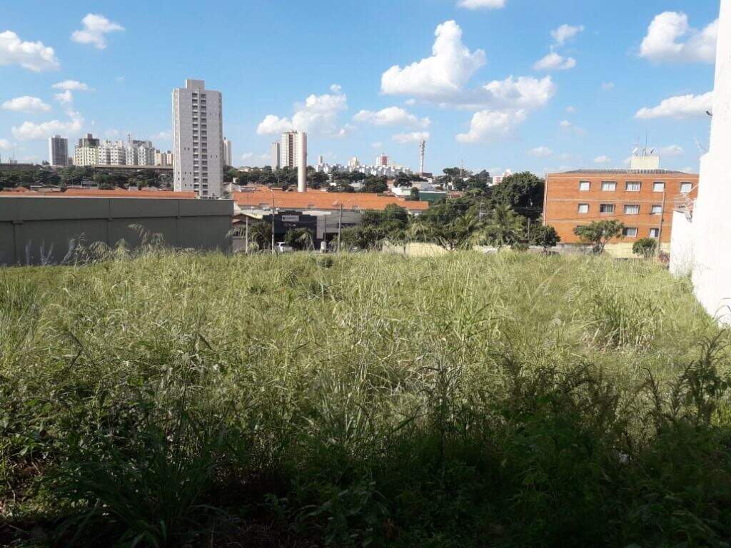 Área à venda no Higienópolis: 