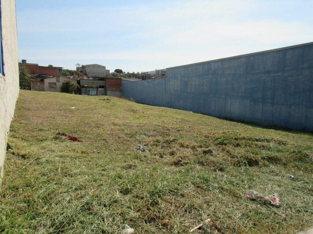 Terreno para aluguel no Paulicéia: 