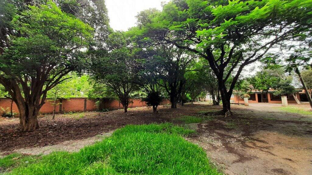 Chácara para aluguel no Campestre: 