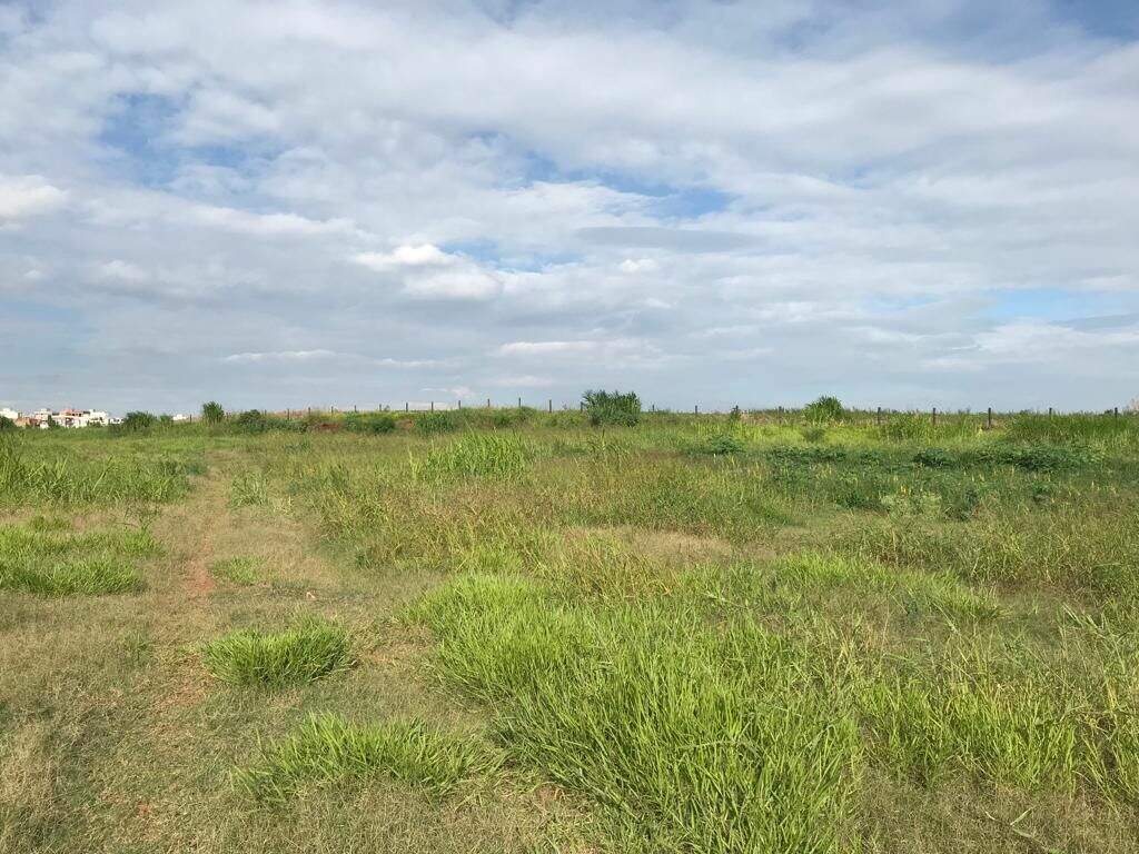 Área à venda no Loteamento Santa Rosa: 