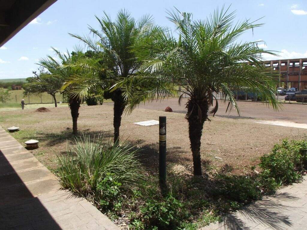 Sala para aluguel no Parque São Jorge: 