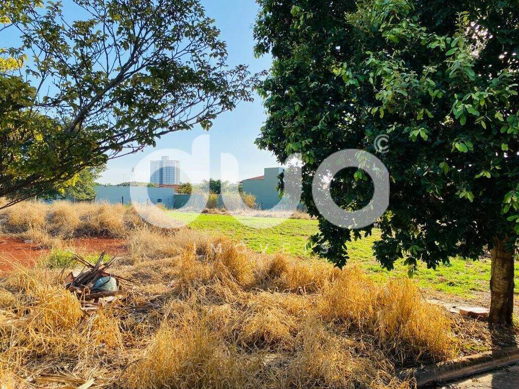 Terreno à venda no Água Branca: Terreno à venda, 250 m² por R$ 246.841 - São Luiz - Piracicaba/SP