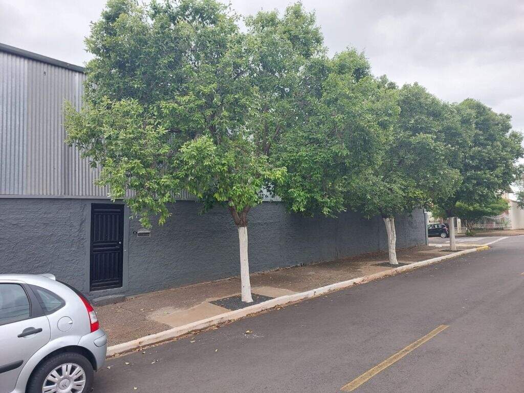 Casa, 100 m² - Foto 6