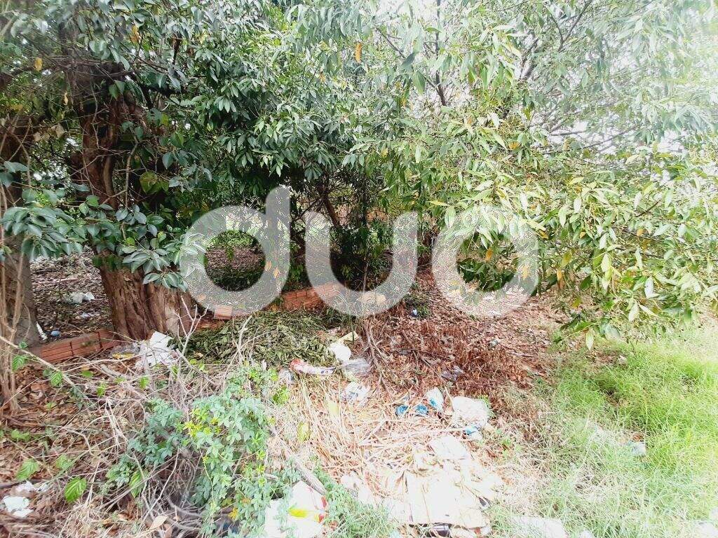 Terreno à venda no Vila Monteiro: 