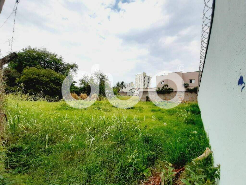 Terreno à venda no Vila Monteiro: 