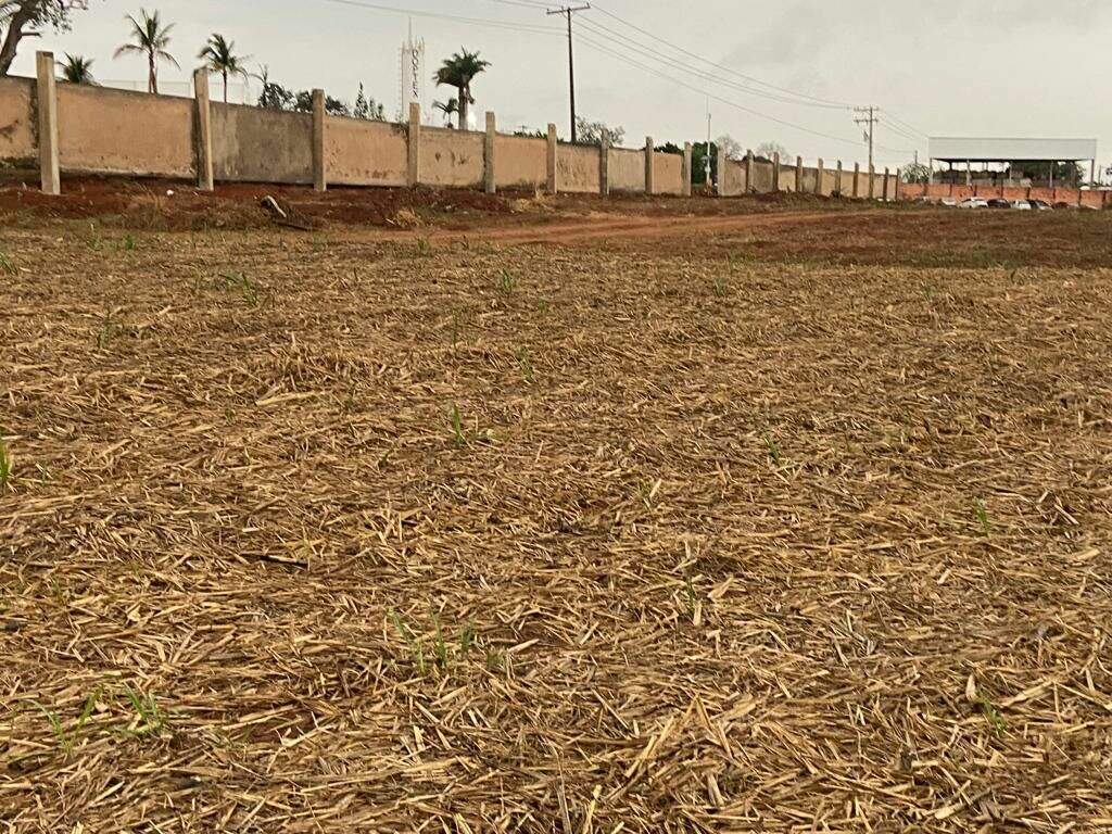 Área à venda no Guamium: Área à venda, 37400 m² por R$ 1.600.000 - Nova Tietê - Tietê/SP