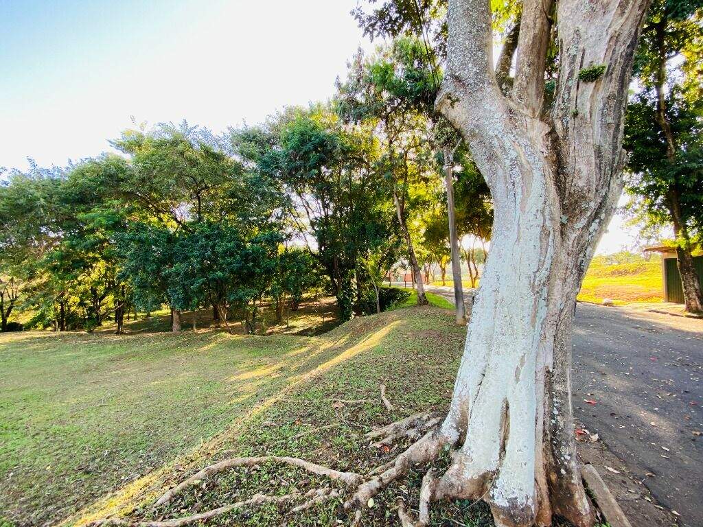 Terreno à venda no Nova Piracicaba: 