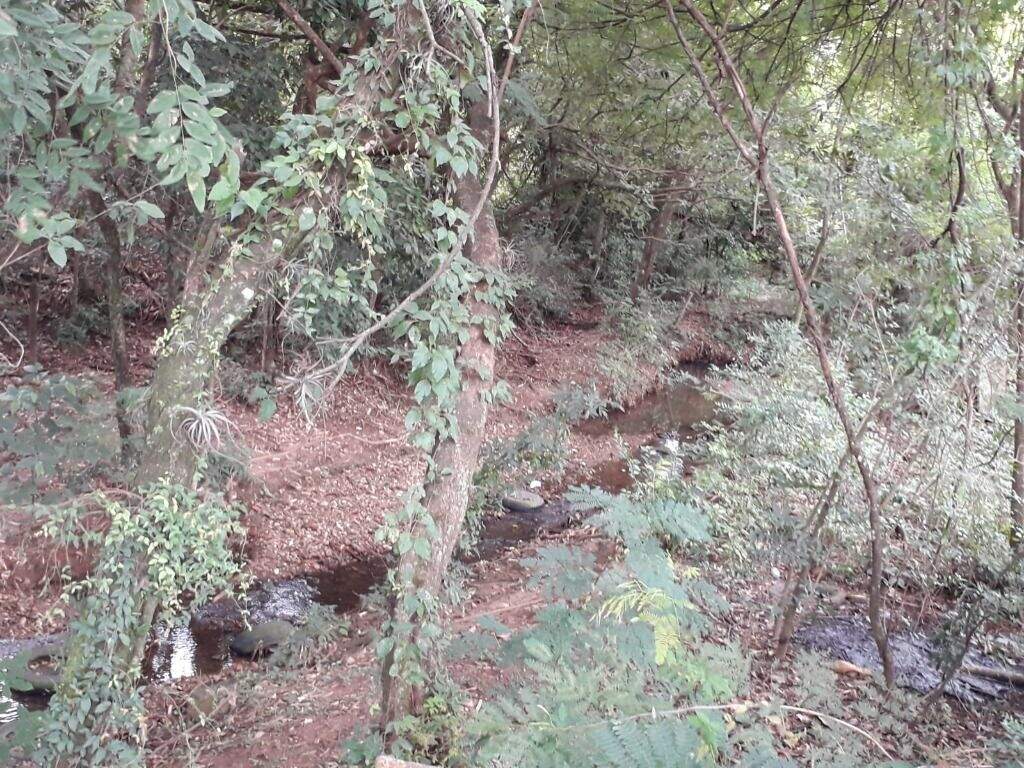 Área à venda no Pompéia: 