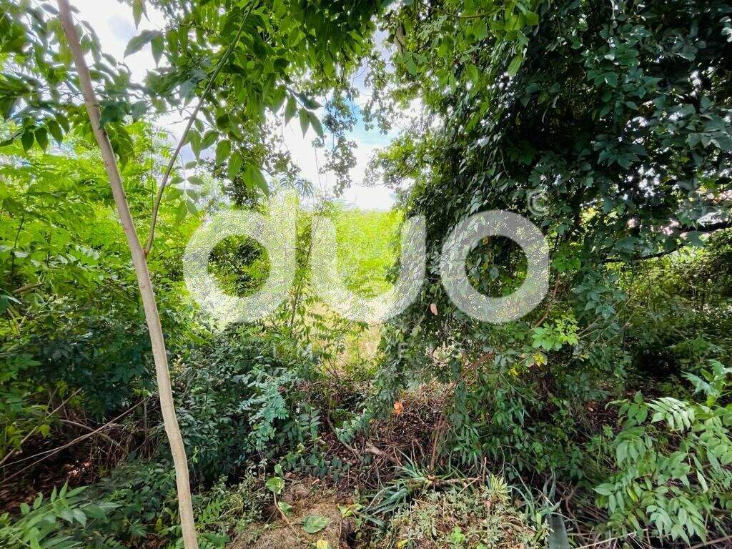 Terreno à venda no Santa Rita: 