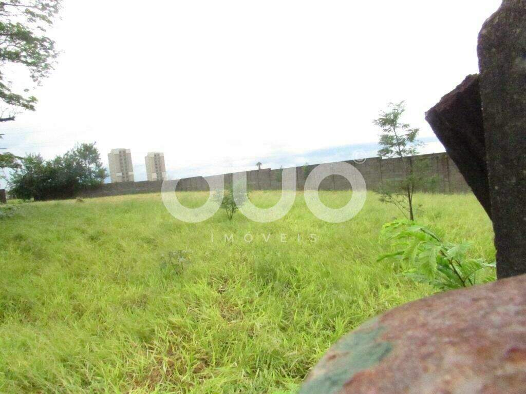 Terreno para aluguel no Nossa Senhora de Fátima: 