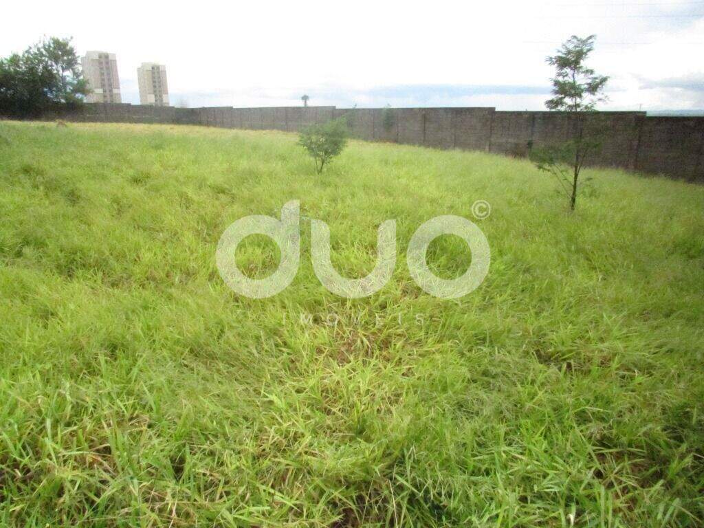 Terreno para aluguel no Nossa Senhora de Fátima: 