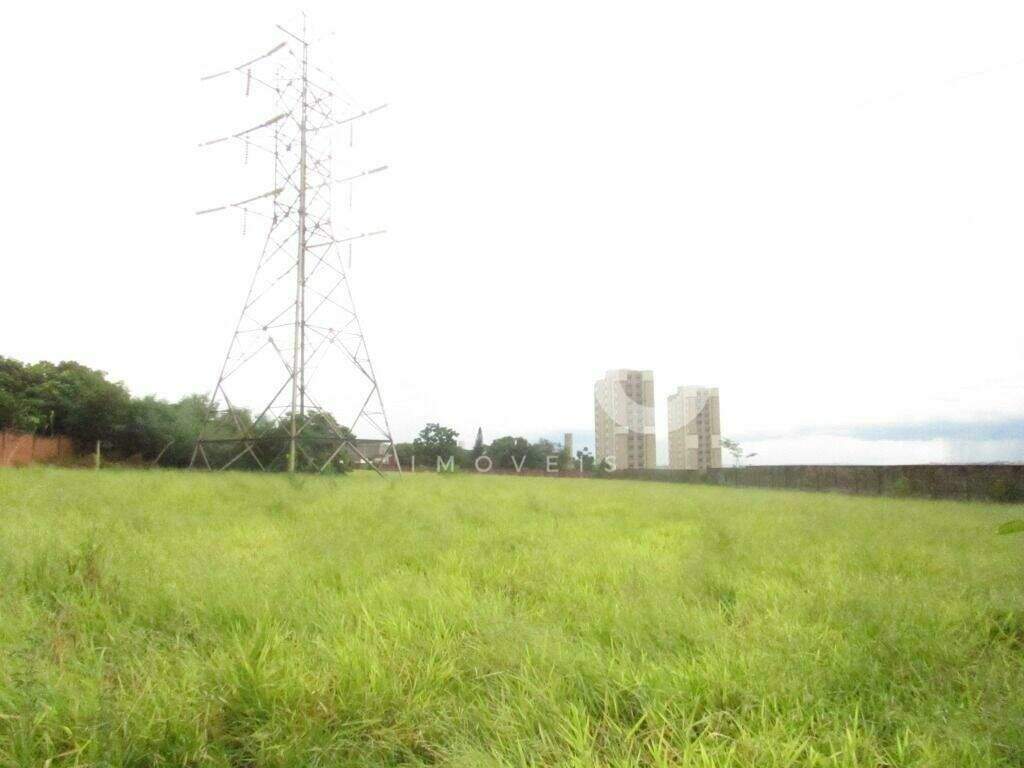 Terreno para aluguel no Nossa Senhora de Fátima: 