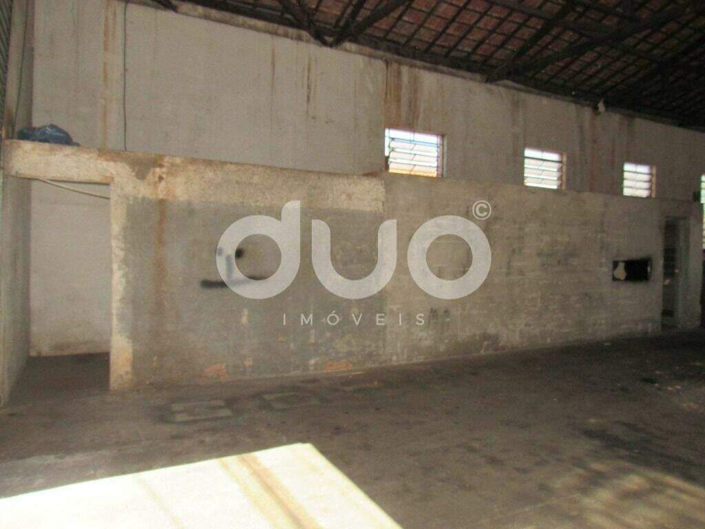 Barracão para aluguel no Paulicéia: 
