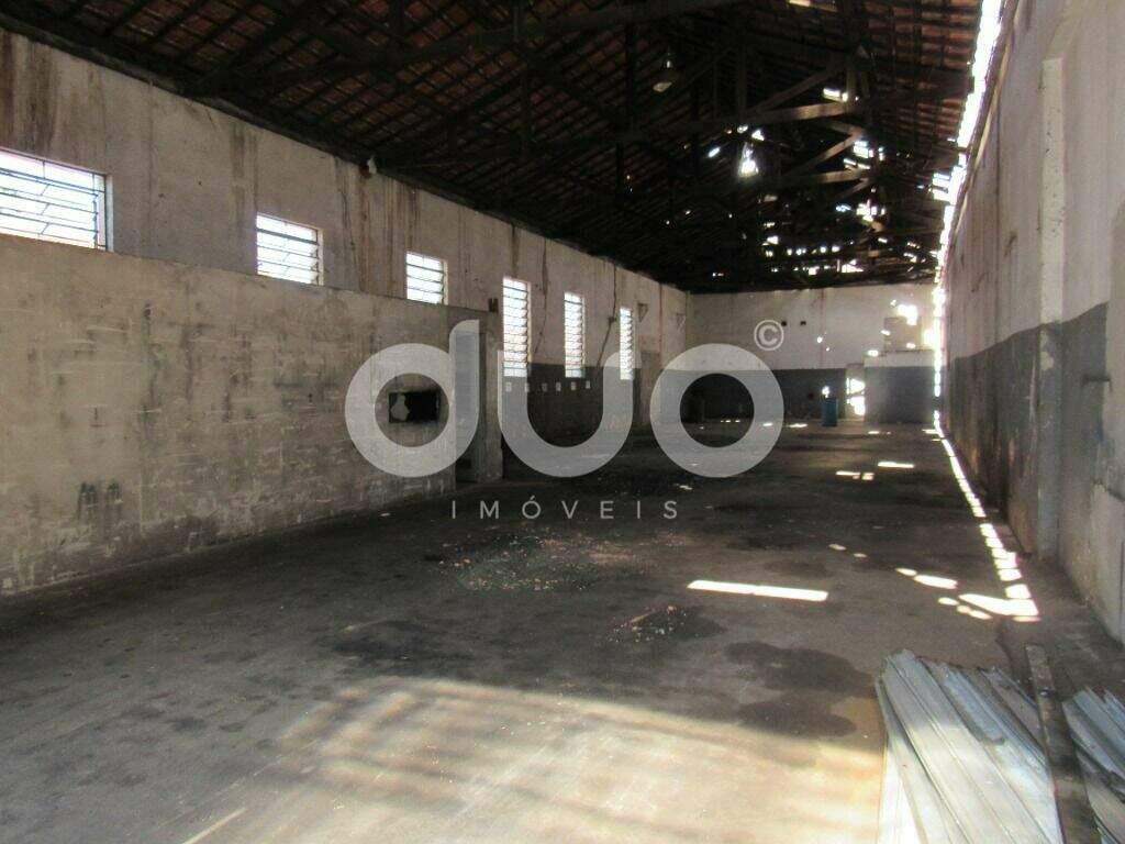 Barracão para aluguel no Paulicéia: 