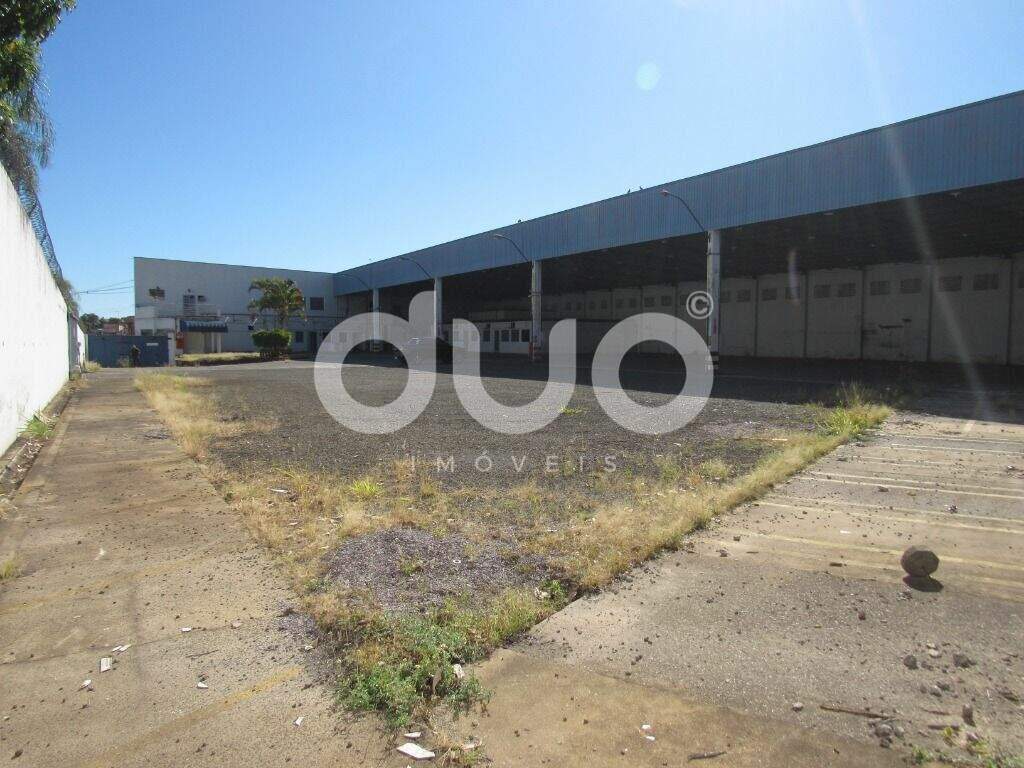 Barracão para aluguel no Higienópolis: 