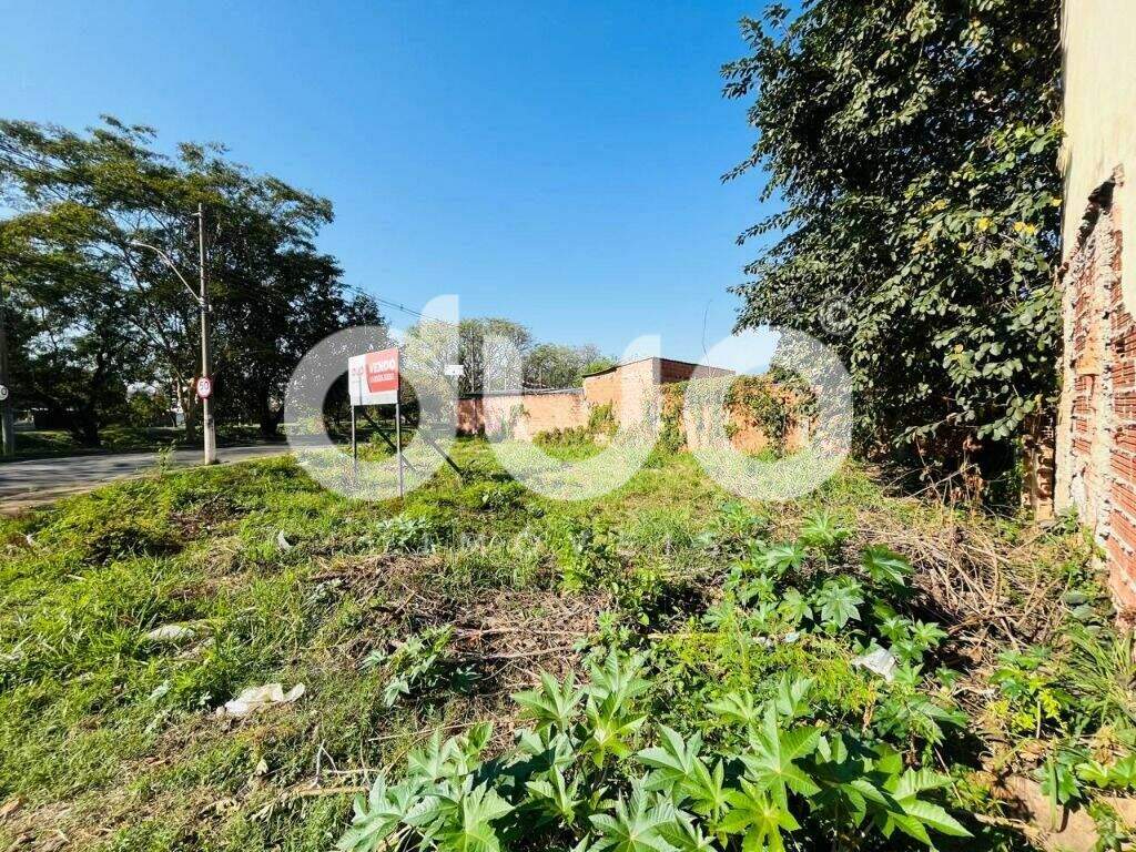 Terreno à venda no Vila Monteiro: 