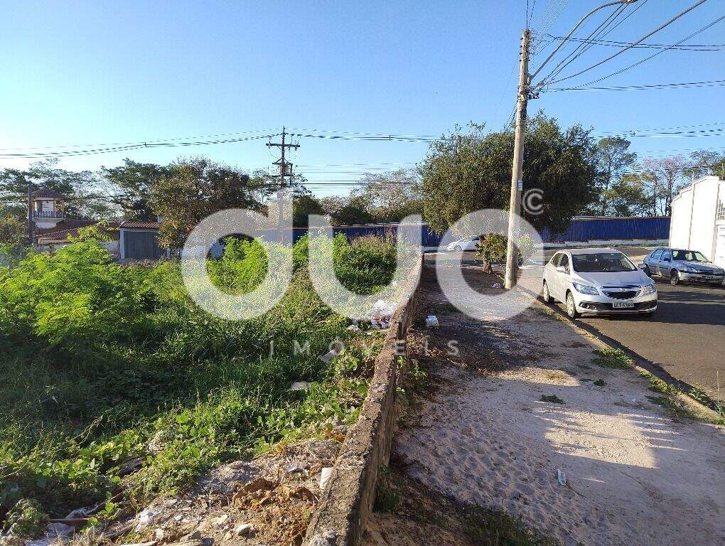 Terreno à venda no Jaraguá: 