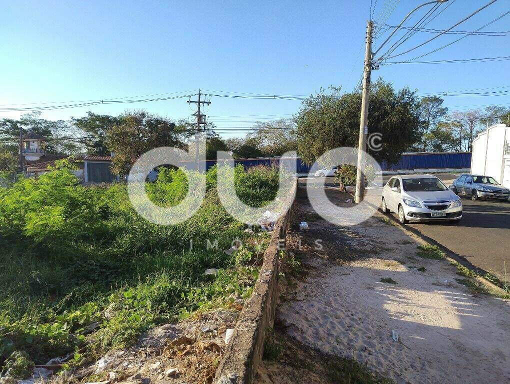 Terreno à venda no Jaraguá: 