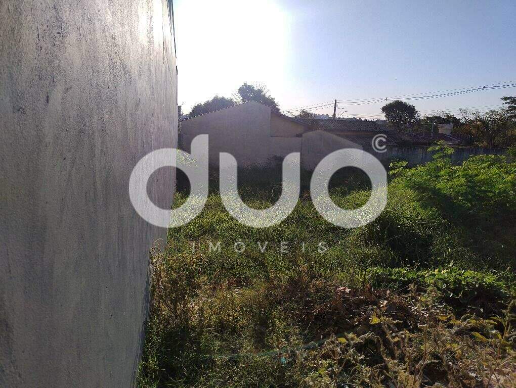 Terreno à venda no Jaraguá: 
