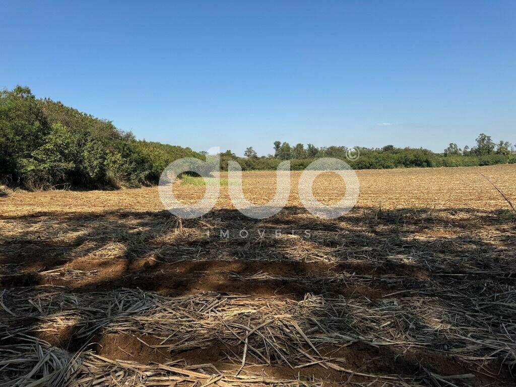 Área à venda no Iaa: 