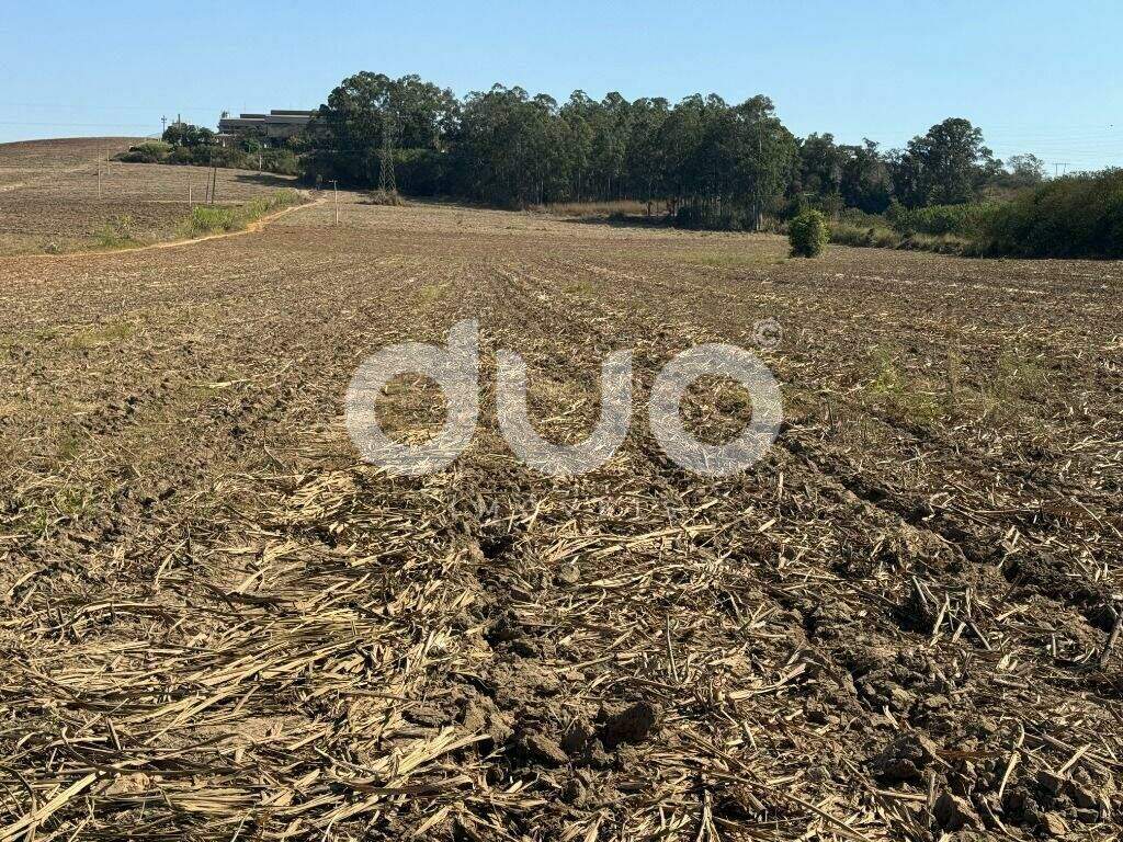 Área à venda no Iaa: 
