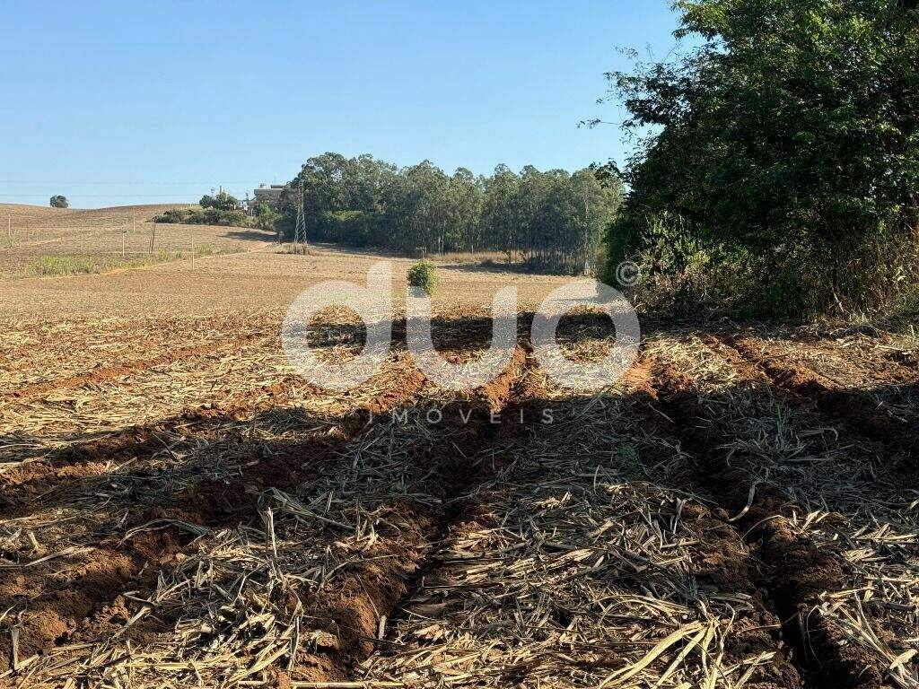 Área à venda no Iaa: 