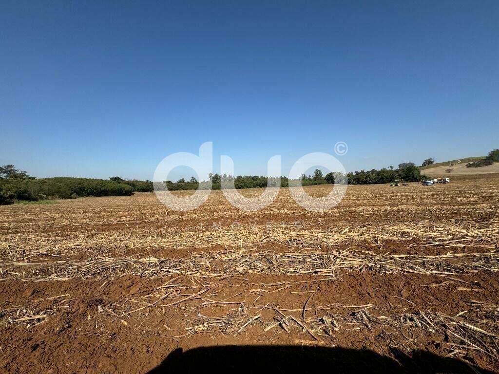 Área à venda no Iaa: 