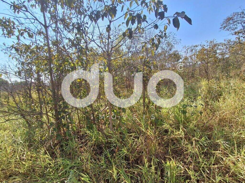 Terreno à venda no Bongue: 