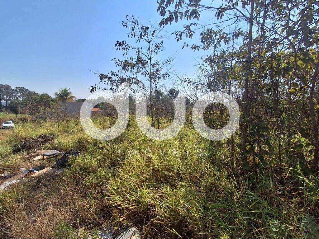 Terreno à venda no Bongue: 