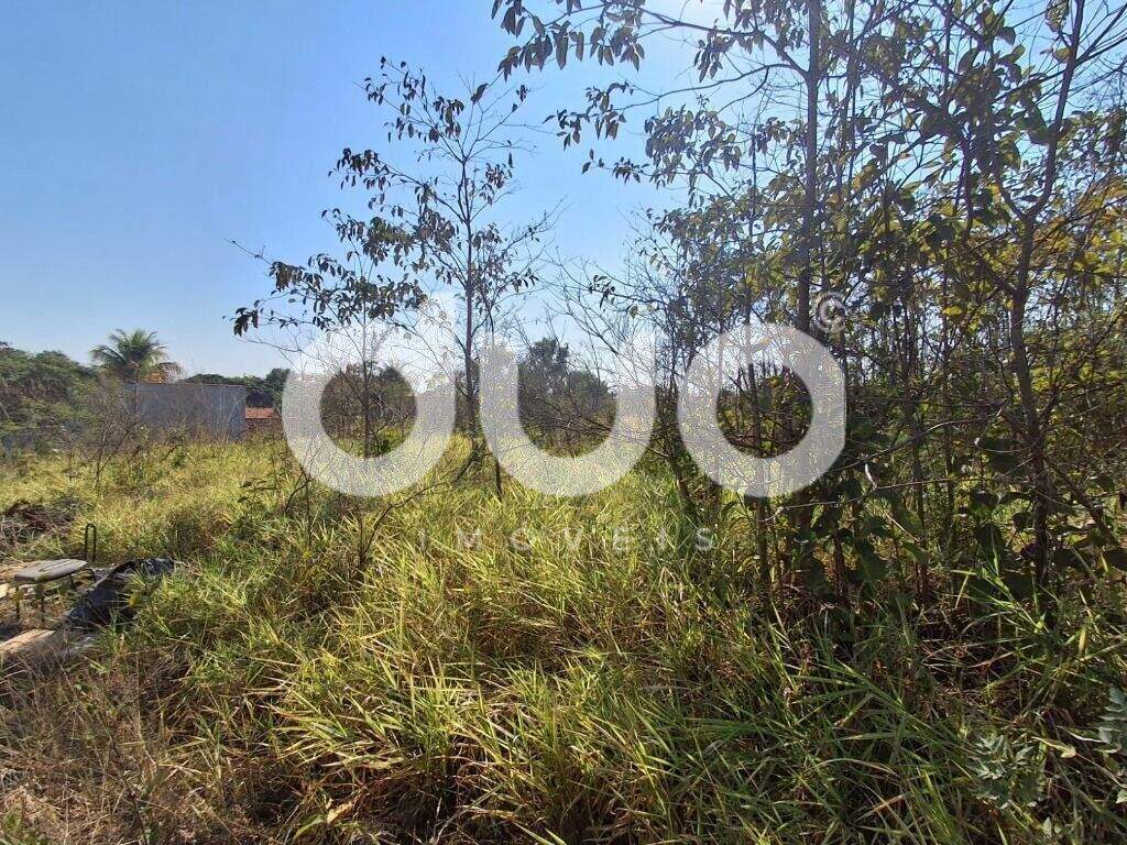 Terreno à venda no Bongue: 