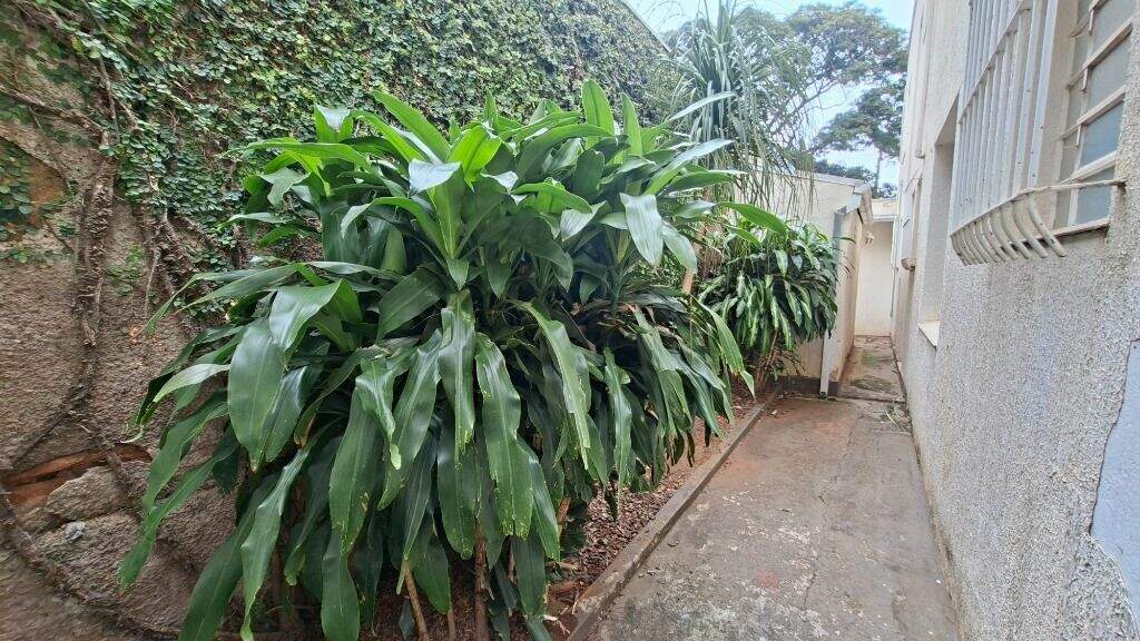 Casa, 12 quartos, 376 m² - Foto 48