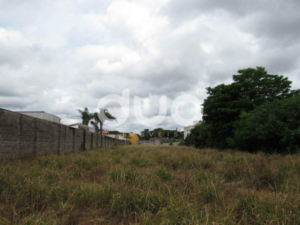 Terreno para aluguel no Dois Córregos: Terreno comercial a venda