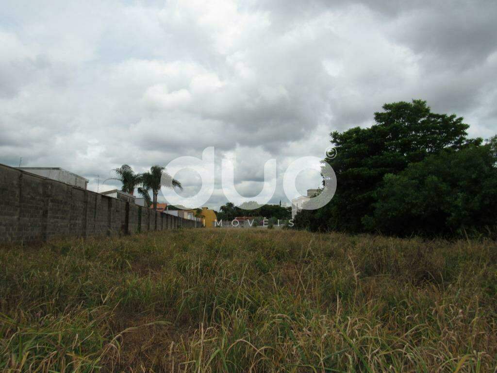 Terreno para aluguel no Dois Córregos: Terreno comercial a venda