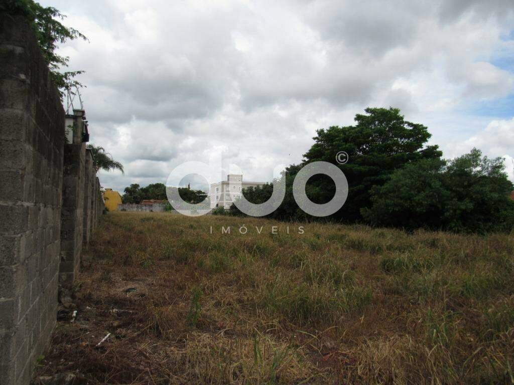 Terreno para aluguel no Dois Córregos: Terreno comercial a venda