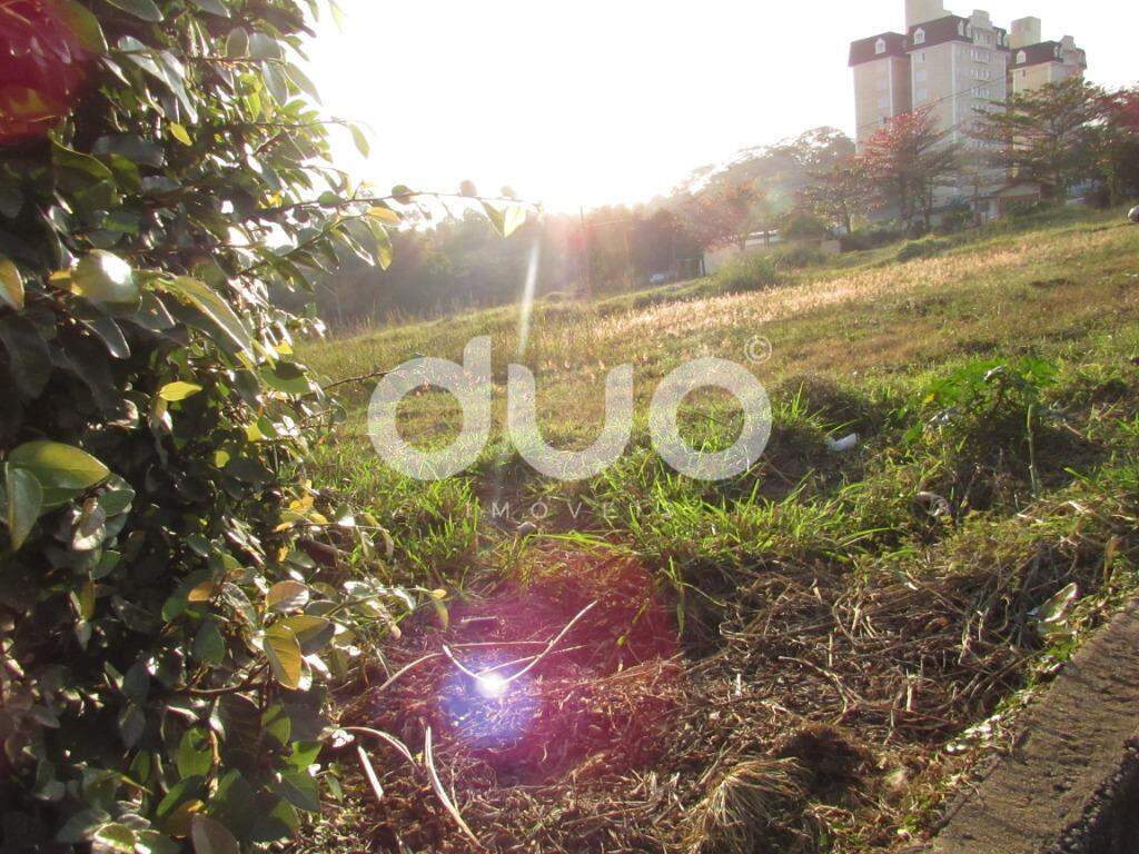 Área para aluguel no Piracicamirim: 