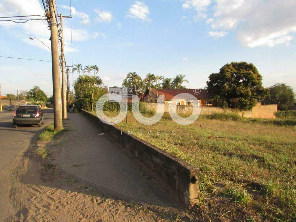 Área para aluguel no Piracicamirim: 