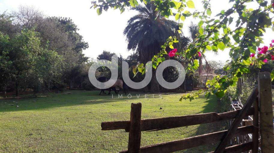 Sítio, 4 quartos, 3300 m² - Foto 25