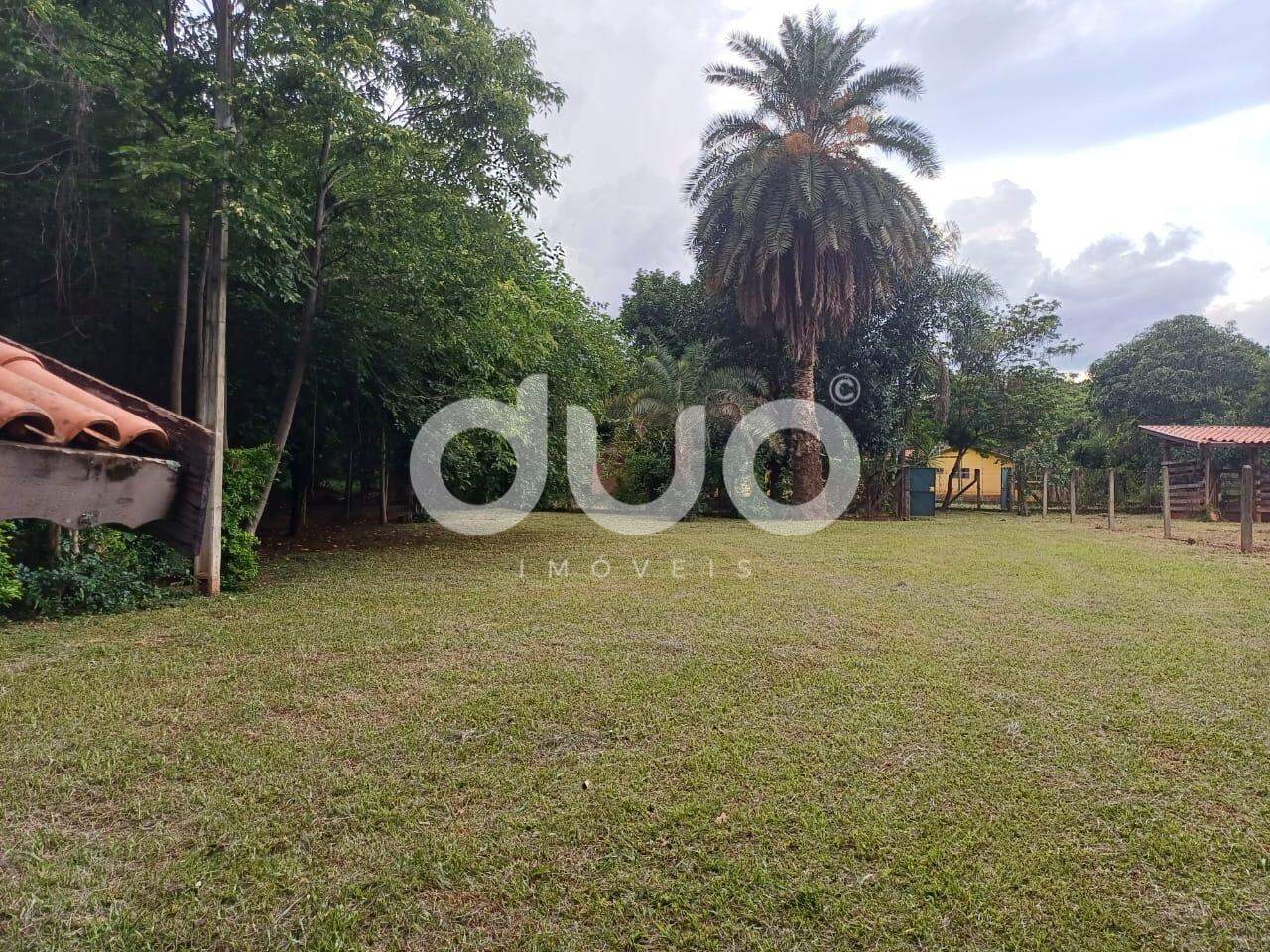 Sítio, 4 quartos, 3300 m² - Foto 23